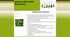Desktop Screenshot of americanmercantile.com